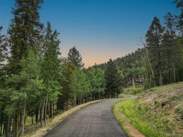 a view of a road with a trees in the background