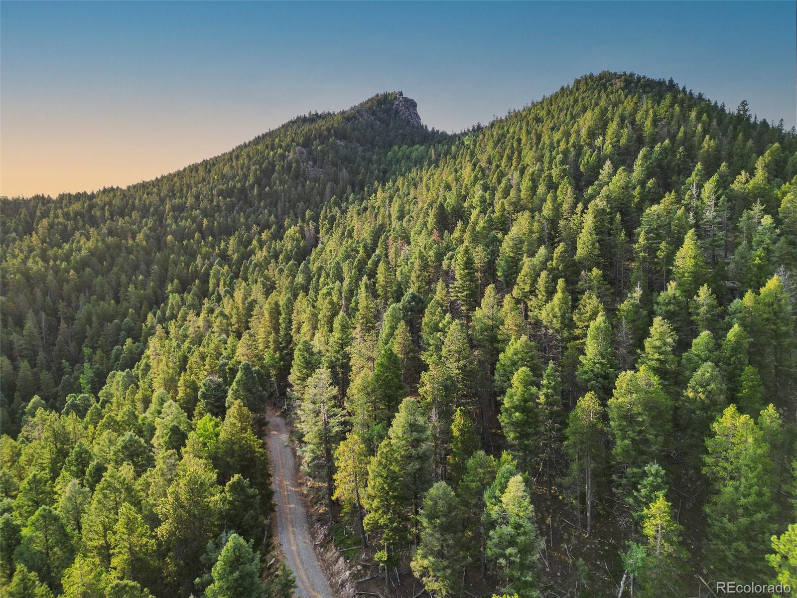 26271 Richmond Hill Road Conifer, CO 80433 - Photo 45 of 50 a big yard with lots of bushes