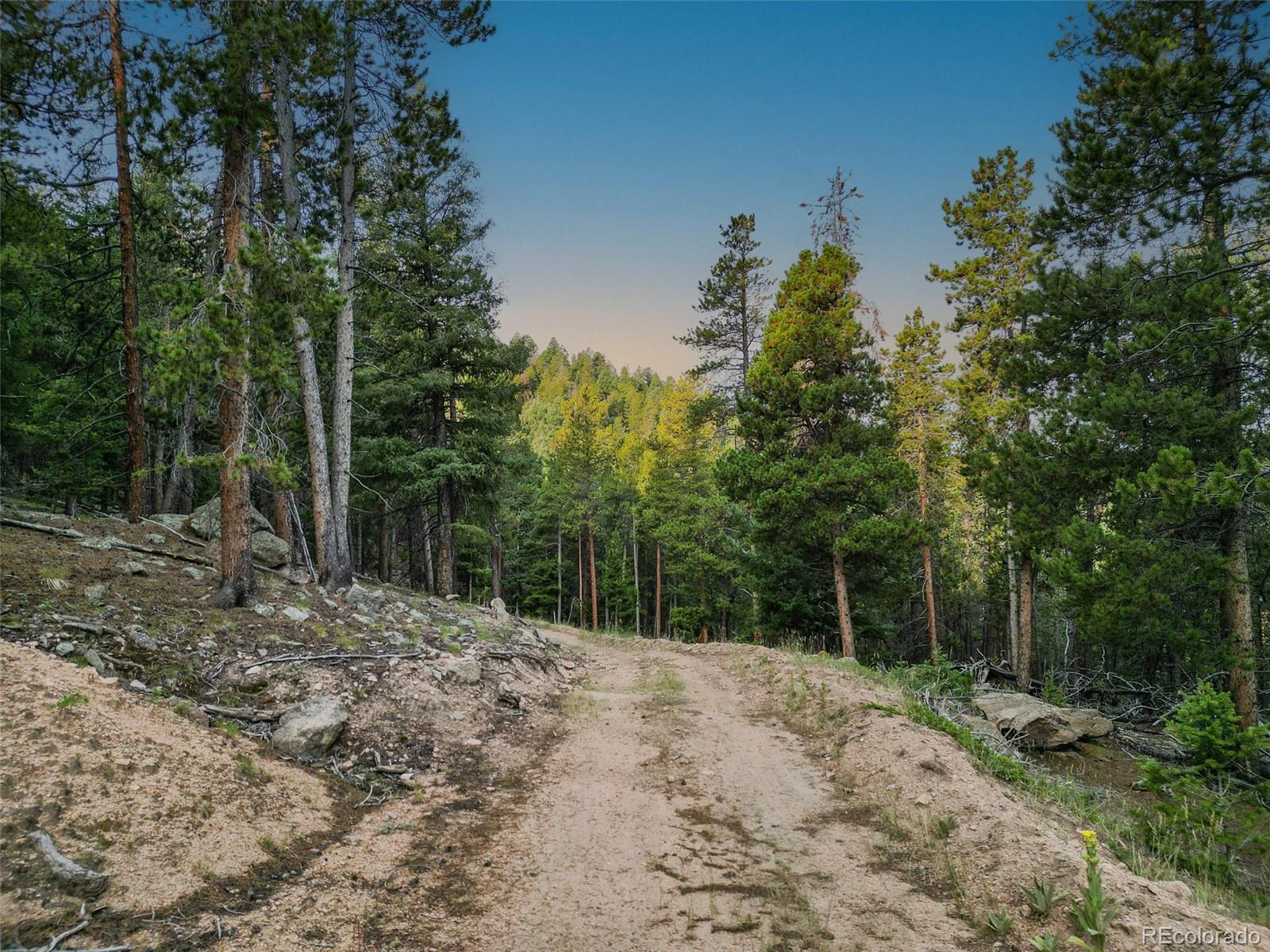 26271 Richmond Hill Road Conifer, CO 80433 - Photo 46 of 50 a view of a yard with large trees