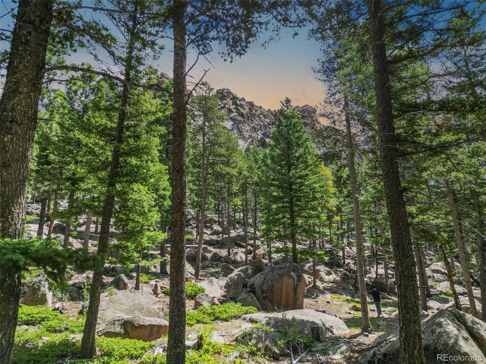 26271 Richmond Hill Road Conifer, CO 80433 - Photo 48 of 50 a view of a yard