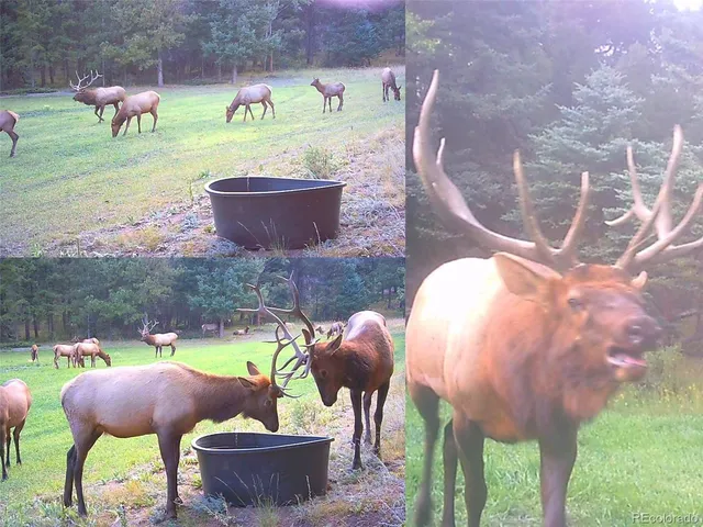 a view of a yard in front of house