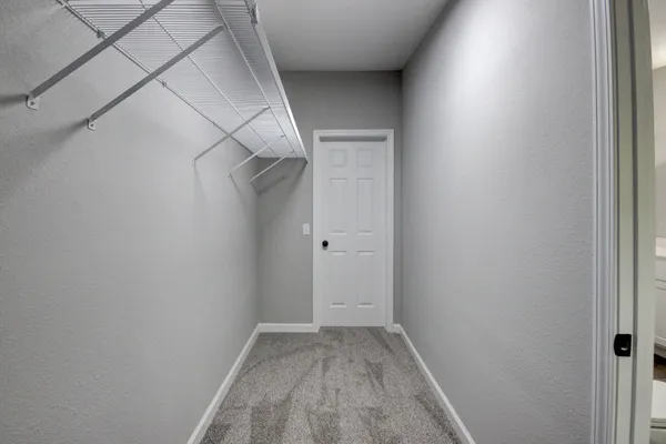 a bathroom with a shower and a toilet