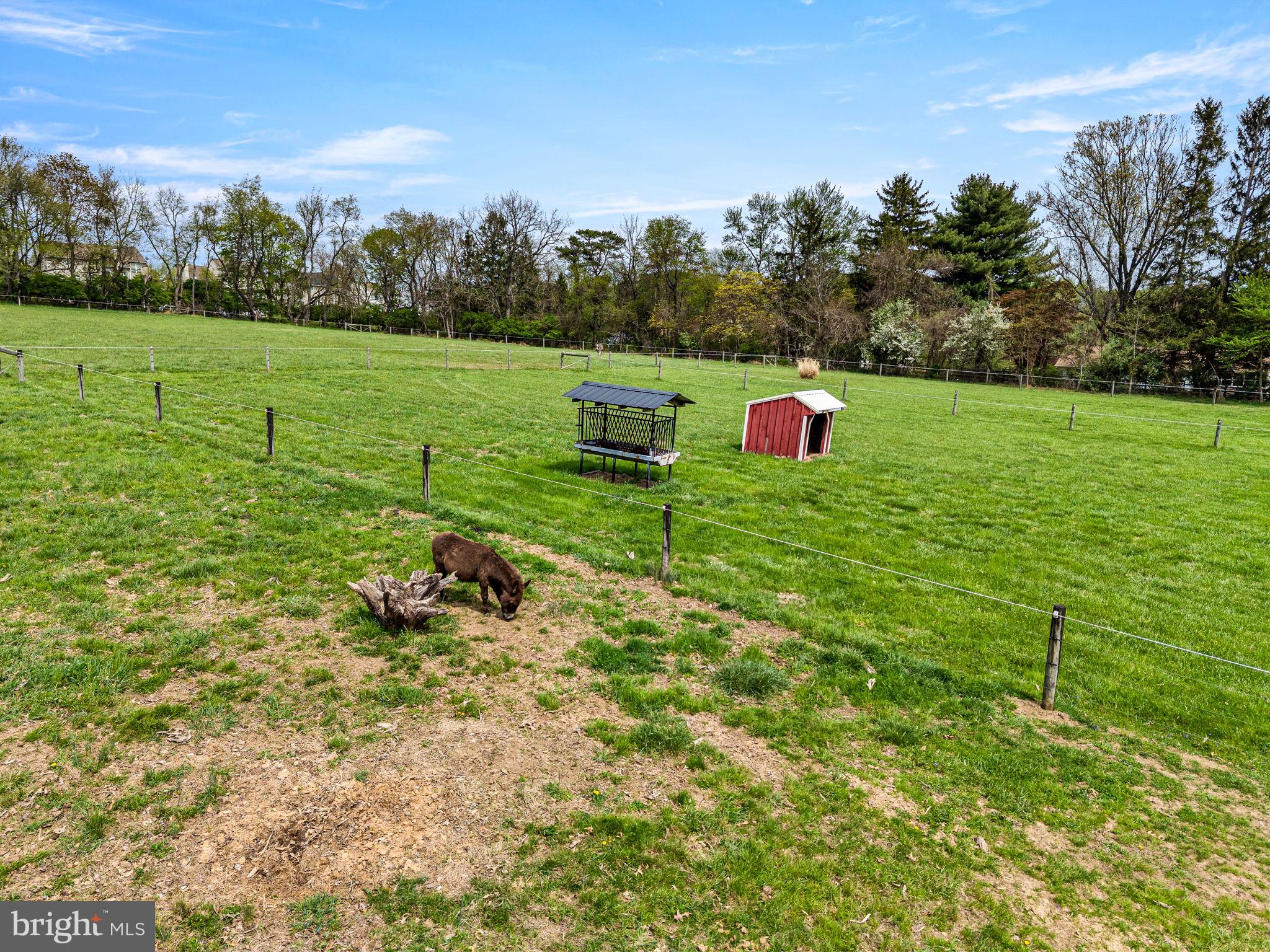 1725 Goosetown Road Coatesville, PA 19320 - Photo 2 of 39 a backyard of a house with lots of green space and outdoor seating