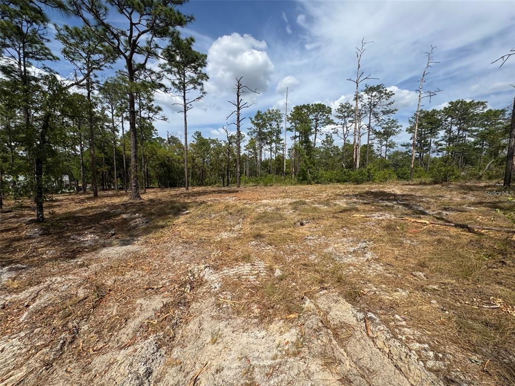 Southwest Edgewater Boulevard Dunnellon, FL 34431 - Photo 8 of 9