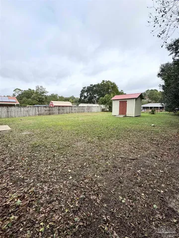a view of a big yard with plants and a large tree