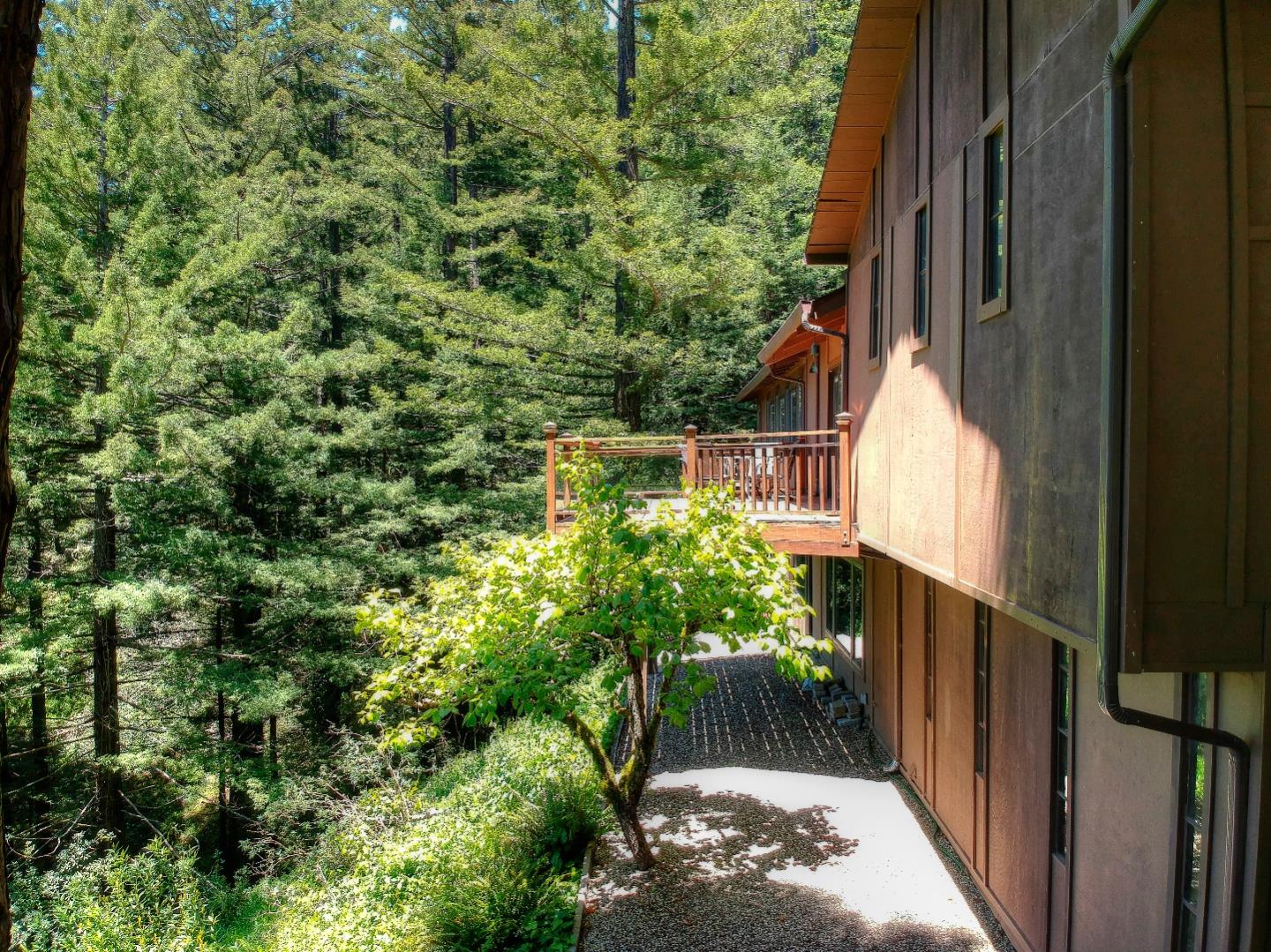 248 Purisima Road Woodside, CA 94062 - Photo 4 of 50 Gallery Image 4