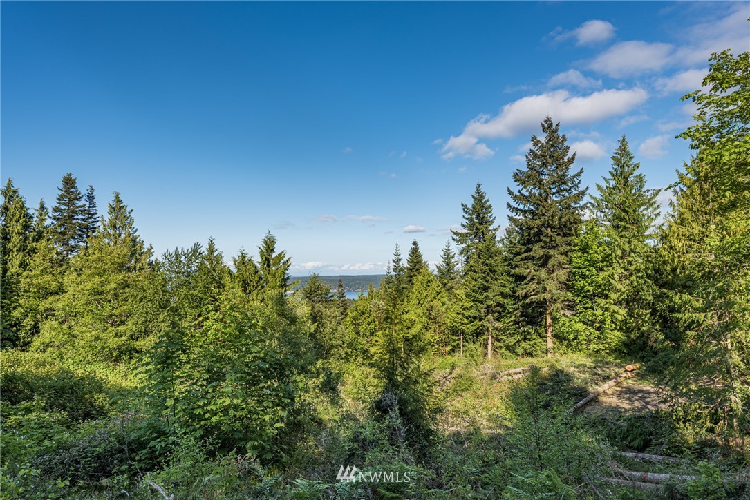 11 High View Sequim, WA 98382 - Photo 1 of 20 a view of a lake