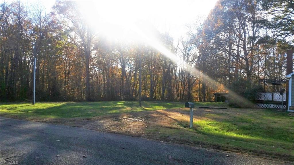 172 Guy Crouse Road Traphill, NC 28685 - Photo 6 of 17 Spacious yard with trees for privacy