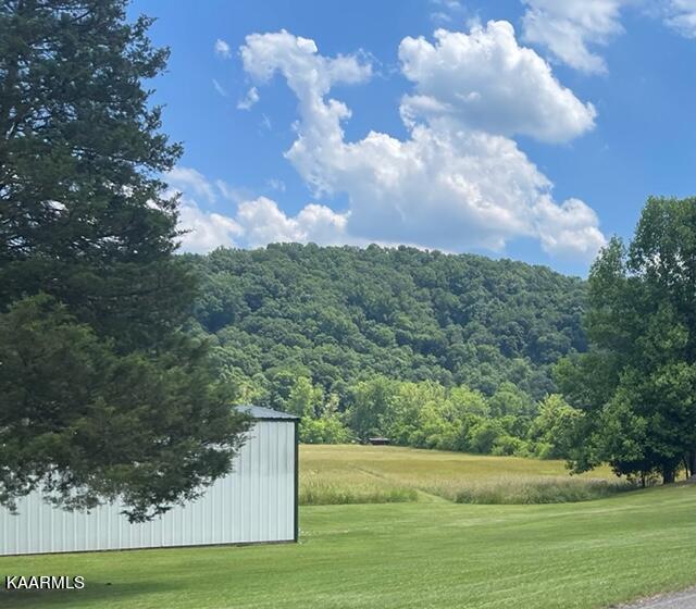 1728 Brushy Valley Road Heiskell, TN 37754 - Photo 2 of 5 IMG_2998