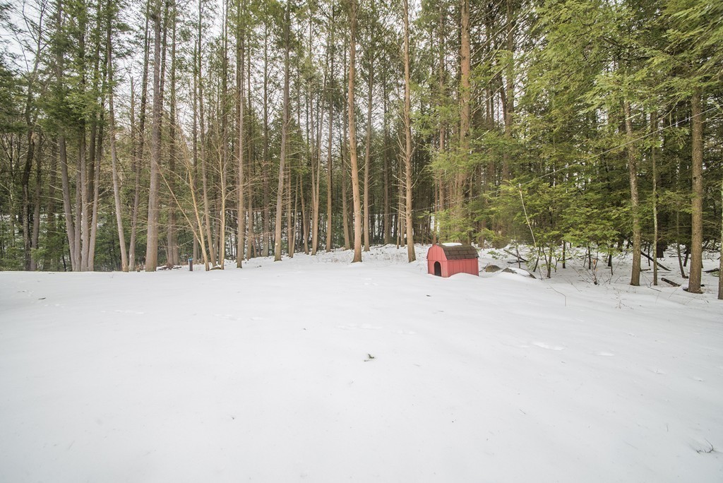 118 Wales Road Monson, MA 01057 - Photo 25 of 30 view of the patio with a trees