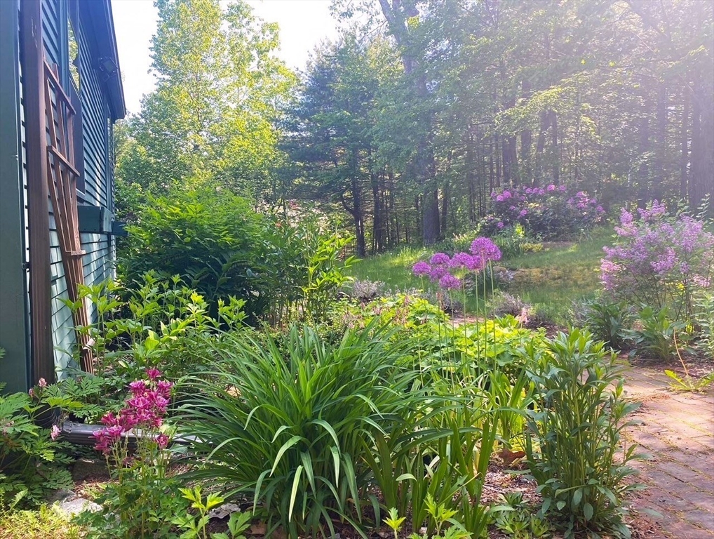 159 Wilder Road Bolton, MA 01740 - Photo 5 of 42