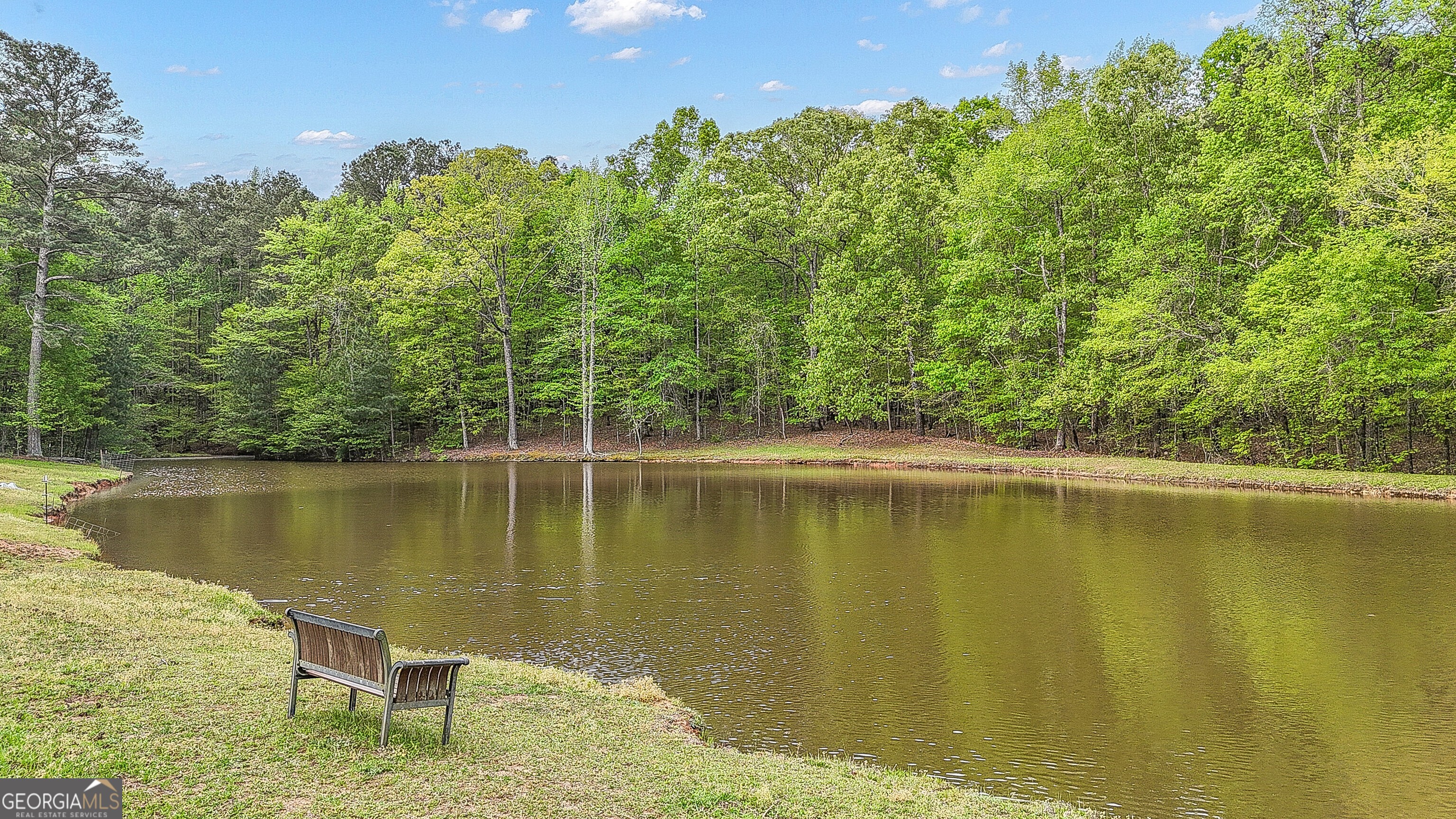404 Tranquil Cemetary Road Senoia, GA 30276 - Photo 5 of 66