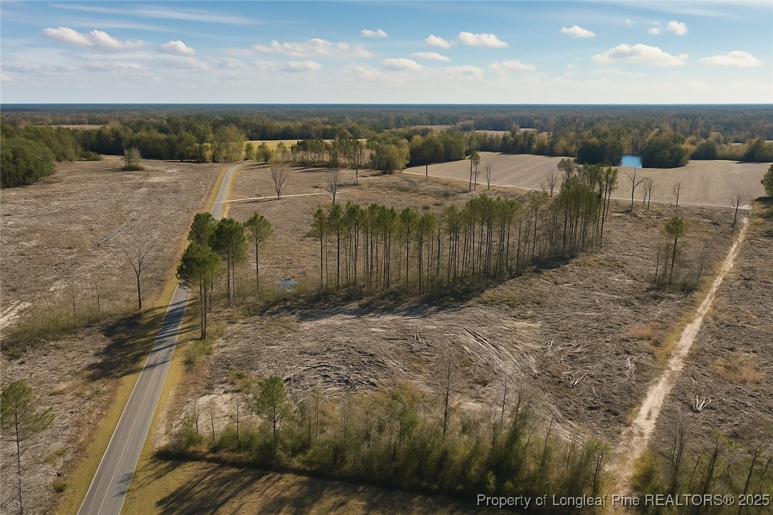 Lot 7 Barnesville Church Road Orrum, NC 28369 - Photo 5 of 9 a view of a outdoor space