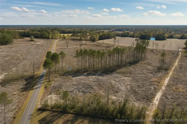 $79,000 | Lot 7 Barnesville Church Road, Orrum, NC 28369