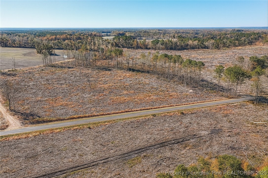 Lot 7 Barnesville Church Road Orrum, NC 28369 - Photo 6 of 9 a view of a lake view