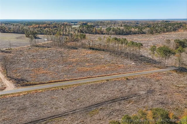 $79,000 | Lot 7 Barnesville Church Road, Orrum, NC 28369