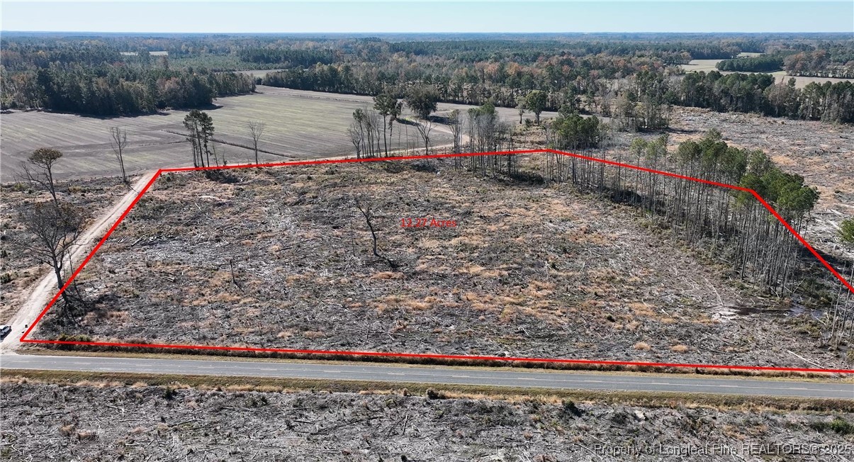 Lot 7 Barnesville Church Road Orrum, NC 28369 - Photo 9 of 9