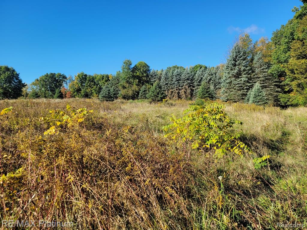 Parc B Tipsico Lake Road Hartland, MI 48353 - Photo 5 of 22