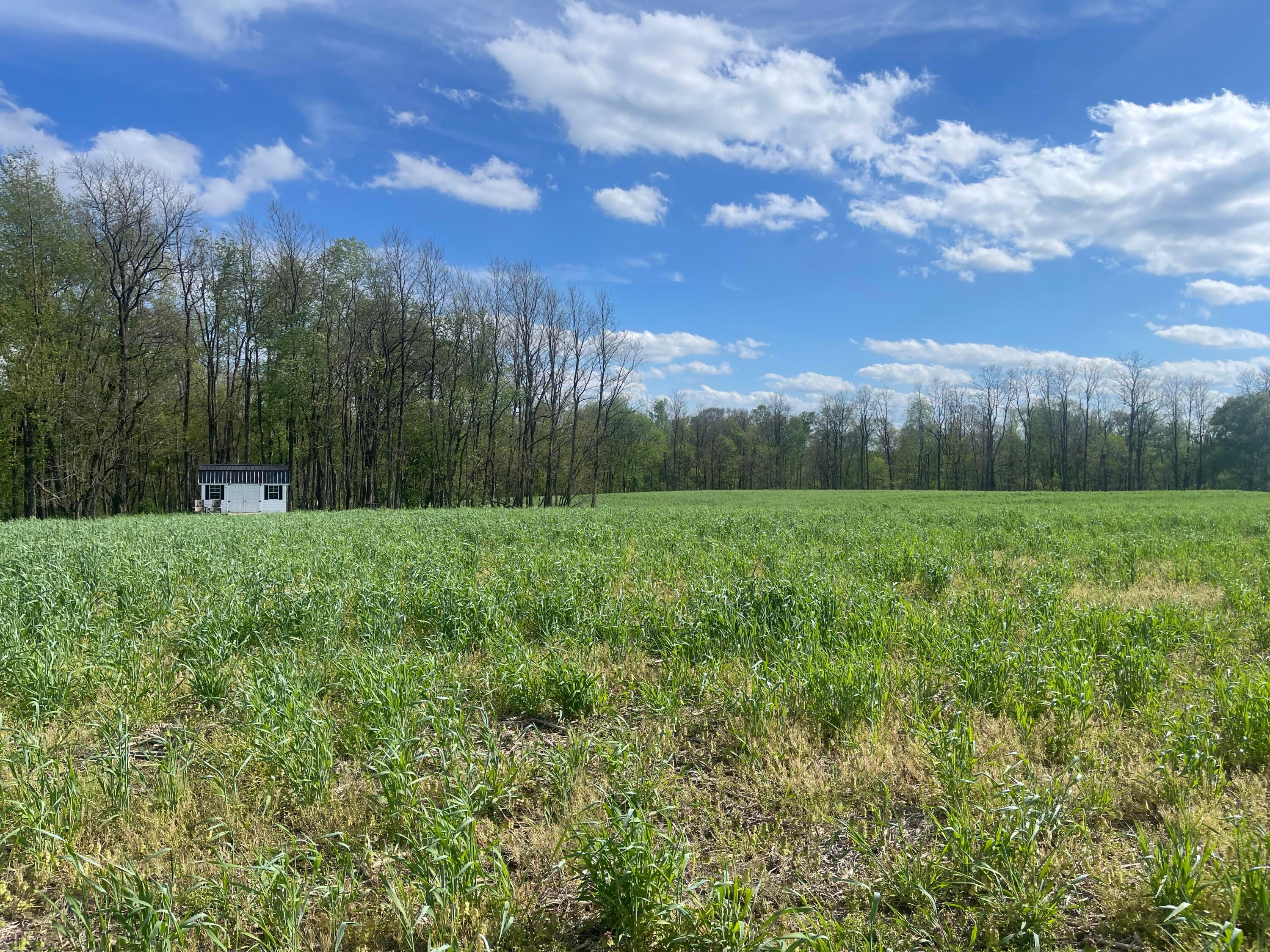 0 Monroe Mills Road Mount Vernon, OH 43050 - Photo 22 of 31 21