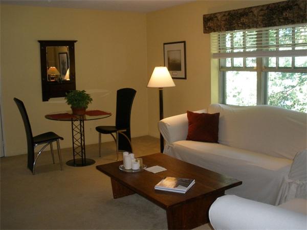 103 Lake Shore Road, Unit 3 Boston, MA 02135 - Photo 4 of 11 Gallery Image 4
