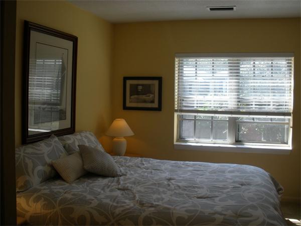 103 Lake Shore Road, Unit 3 Boston, MA 02135 - Photo 6 of 11 Gallery Image 6