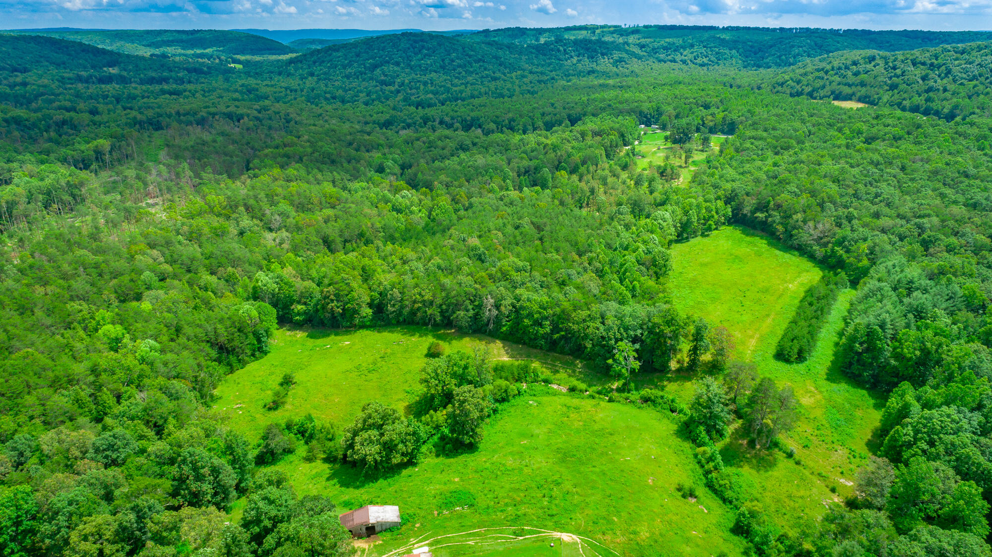 7782 Brockdell Road Pikeville, TN 37367 - Photo 37 of 65 7782 Brockdell Road Exterior HD-37