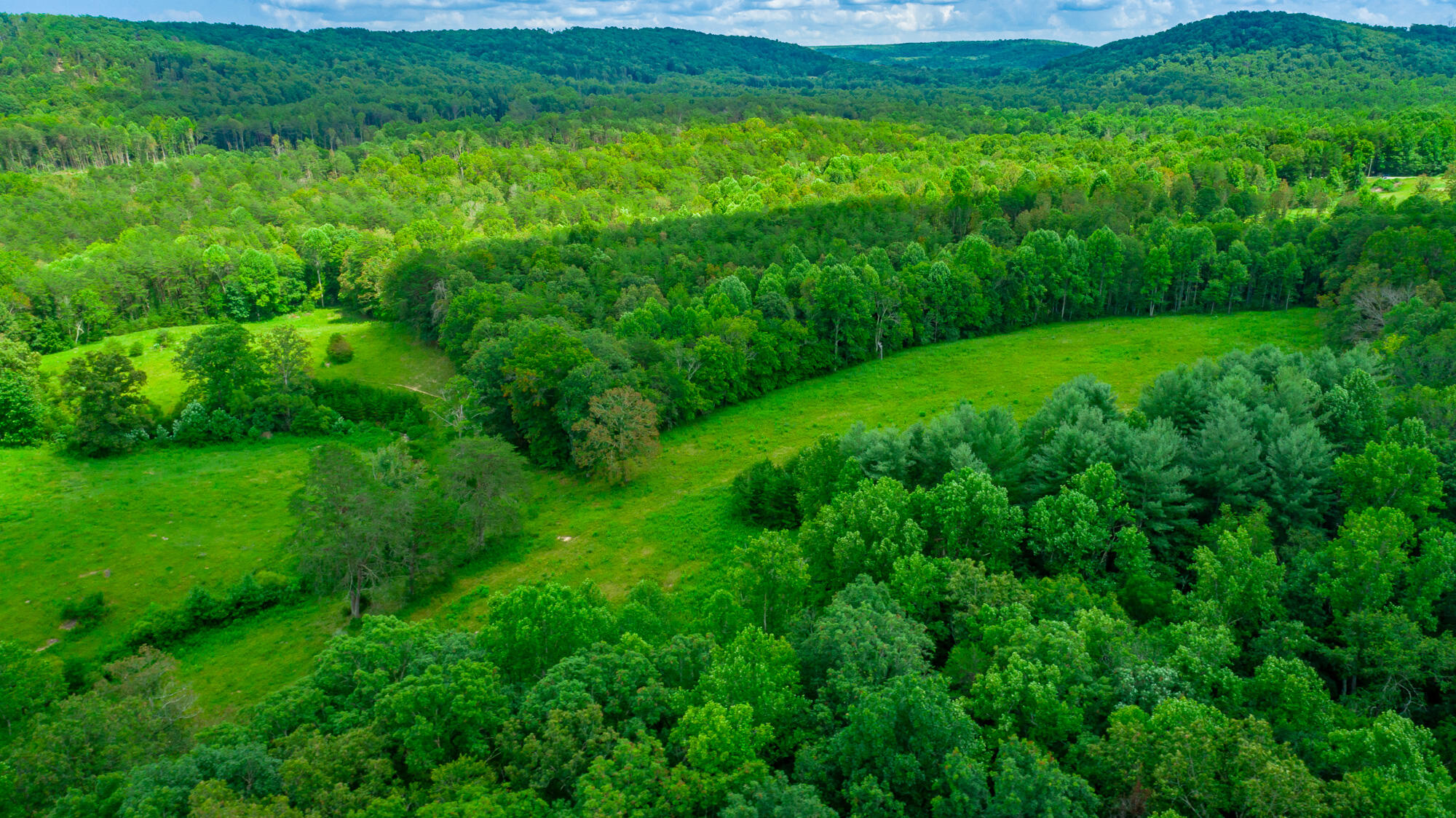 7782 Brockdell Road Pikeville, TN 37367 - Photo 41 of 65 7782 Brockdell Road Exterior HD-41