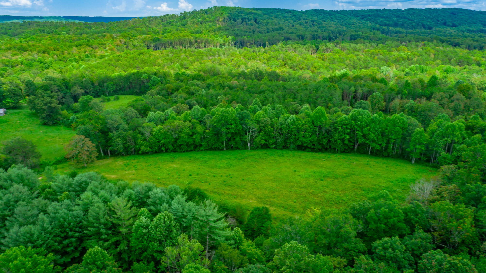 7782 Brockdell Road Pikeville, TN 37367 - Photo 42 of 65 7782 Brockdell Road Exterior HD-42