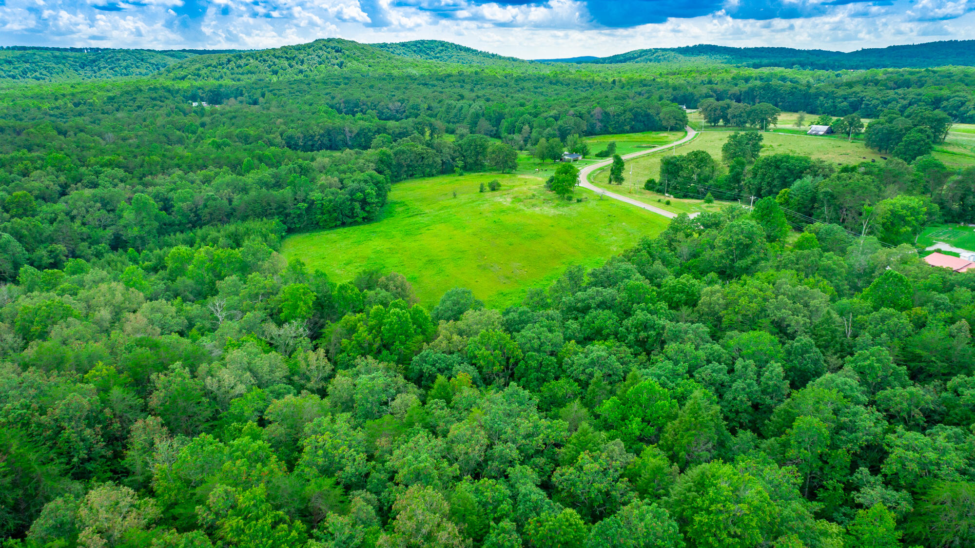 7782 Brockdell Road Pikeville, TN 37367 - Photo 51 of 65 7782 Brockdell Road Exterior HD-51