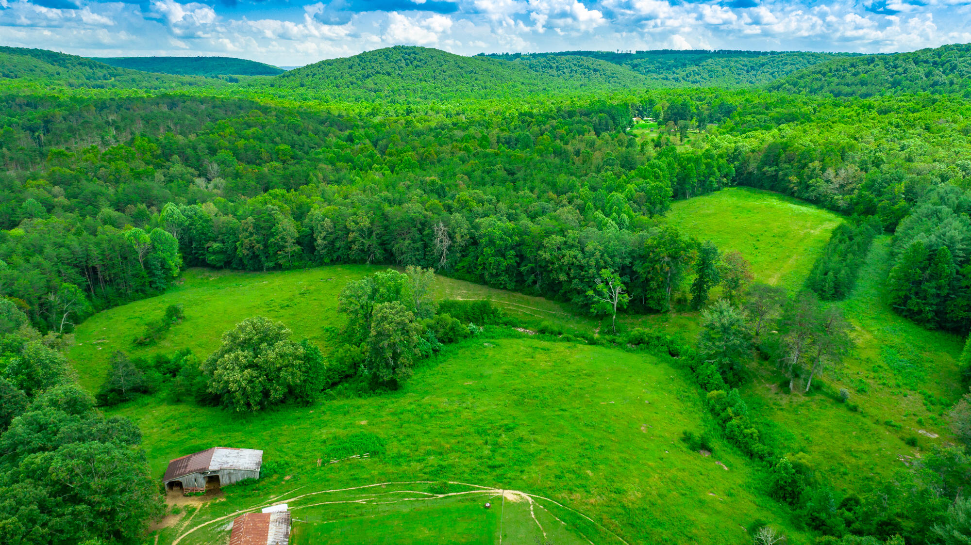7782 Brockdell Road Pikeville, TN 37367 - Photo 56 of 65 7782 Brockdell Road Exterior HD-56