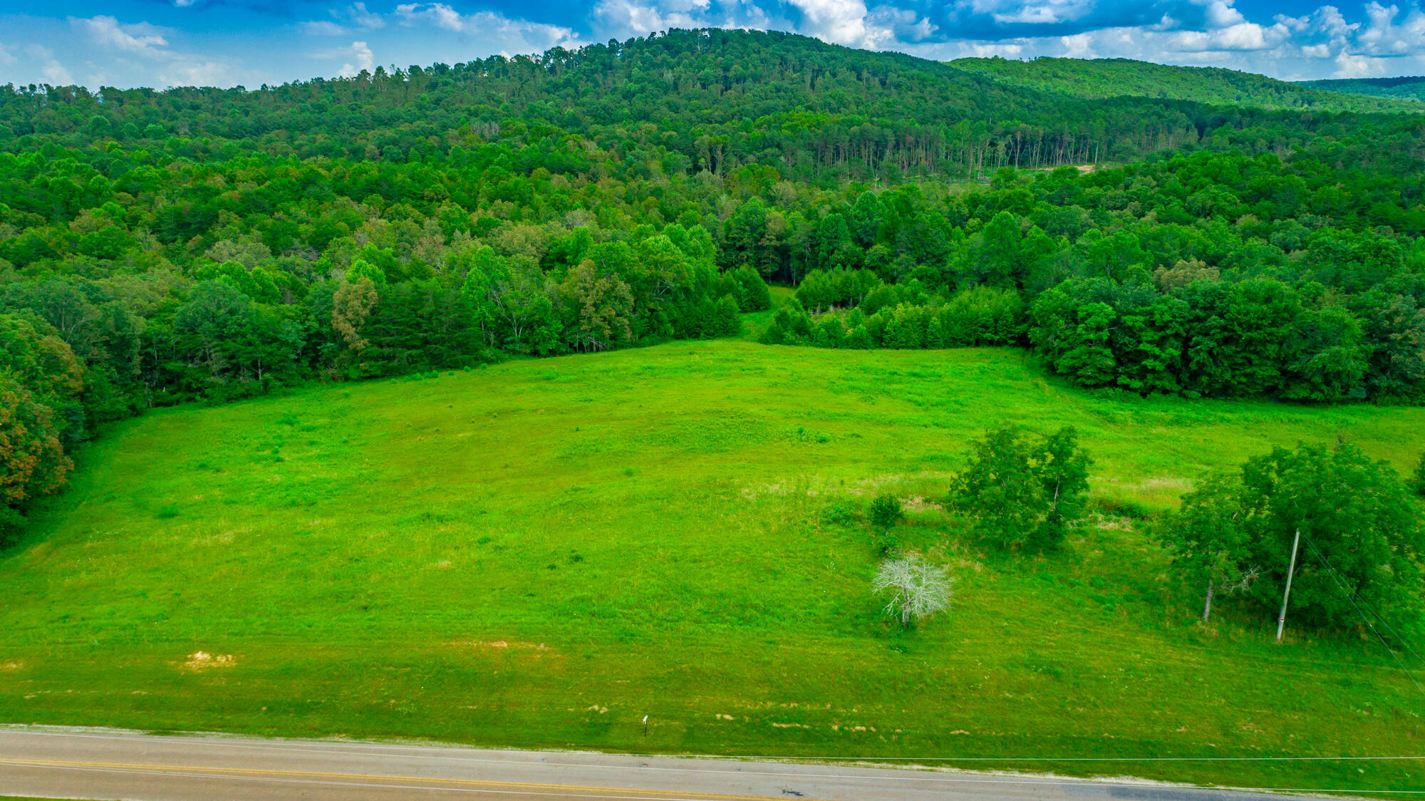 7782 Brockdell Road Pikeville, TN 37367 - Photo 60 of 65 7782 Brockdell Road Exterior HD-60
