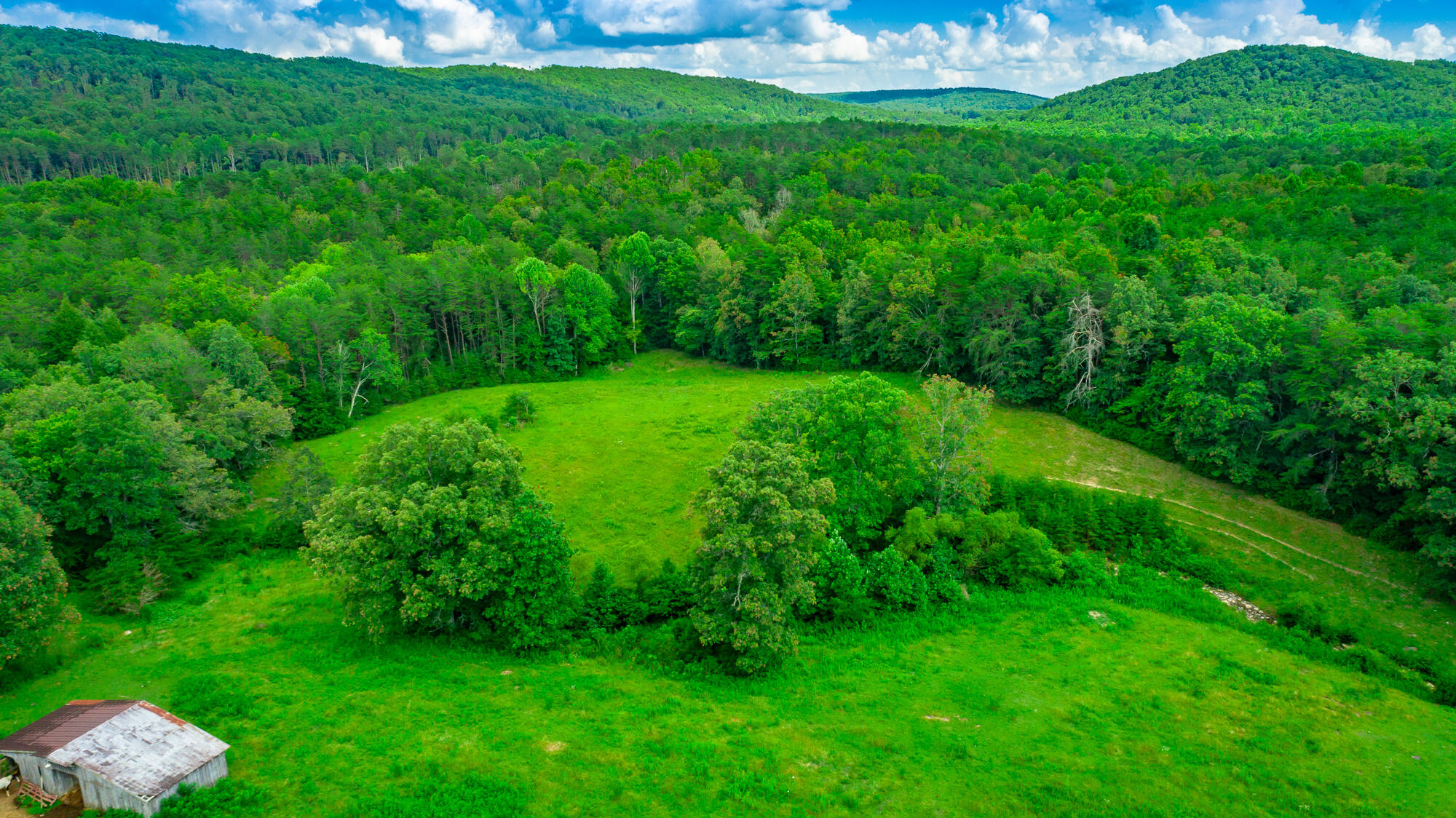 7782 Brockdell Road Pikeville, TN 37367 - Photo 62 of 65 7782 Brockdell Road Exterior HD-62