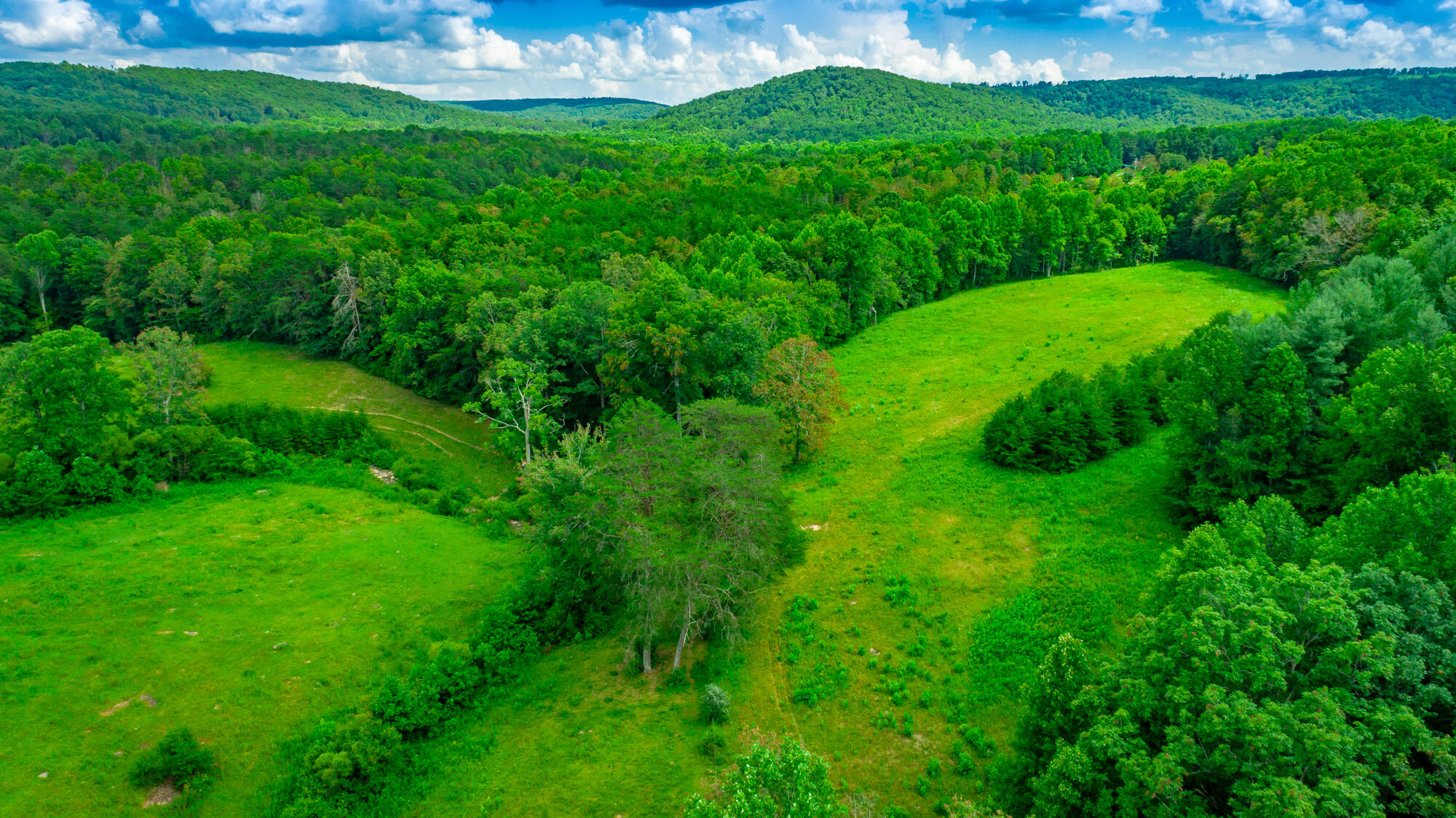 7782 Brockdell Road Pikeville, TN 37367 - Photo 63 of 65 7782 Brockdell Road Exterior HD-63
