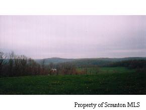 263 Payne Road Kingsley, PA 18826 - Photo 3 of 5 Gallery Image 3