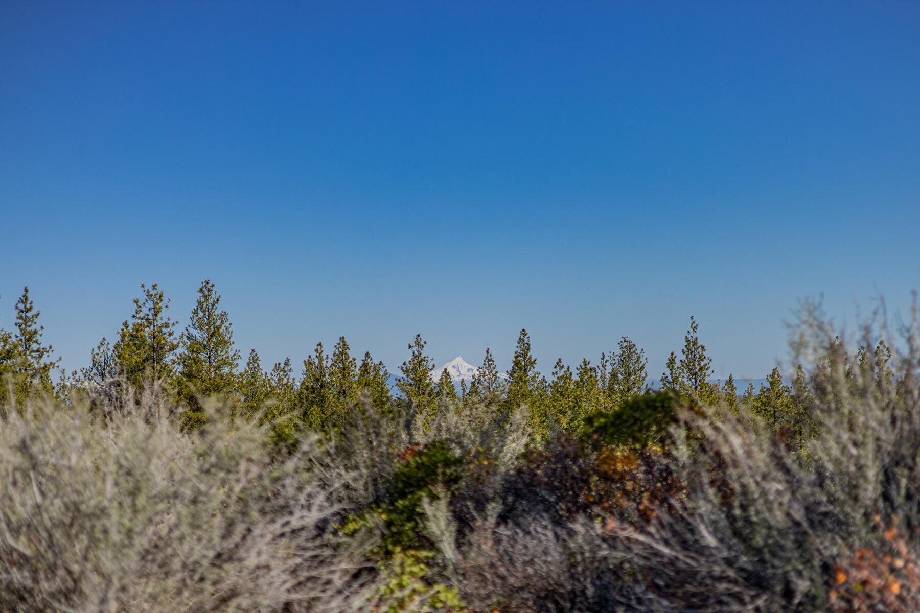 62545 Huntsman Loop Bend Bend, OR 97703 - Photo 6 of 21 batch_18