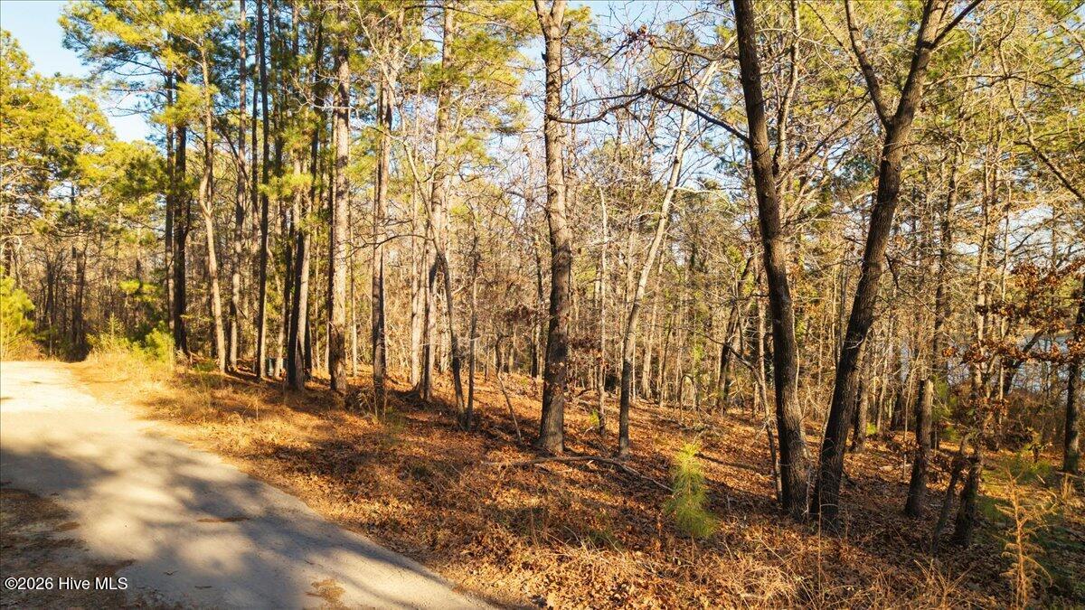 Lot 27 Santee Road Carthage, NC 28327 - Photo 17 of 18 17-17_LOT 27 Santee Rd, Carthage, NC, 28