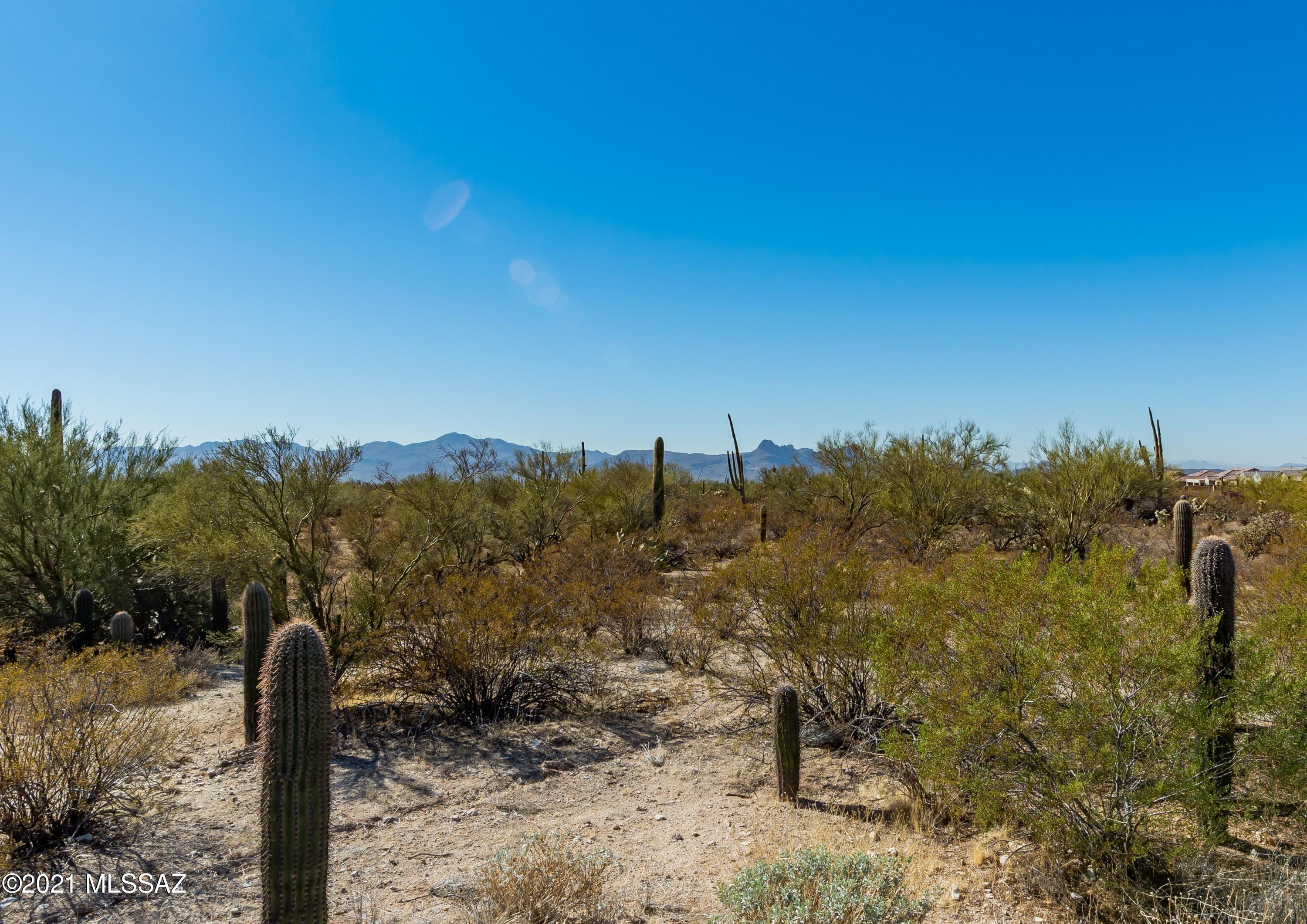 11839 North Raphael Way Tucson, AZ 85742 - Photo 39 of 40 Gallery Image 39