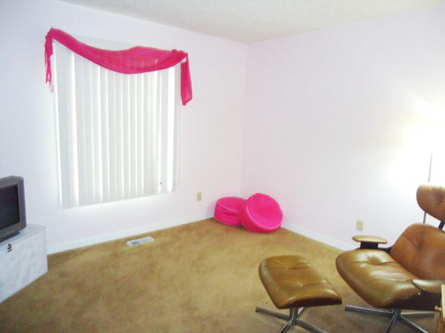 5509 West Old Stone Road Muncie, IN 47304 - Photo 22 of 28 Gallery Image 22