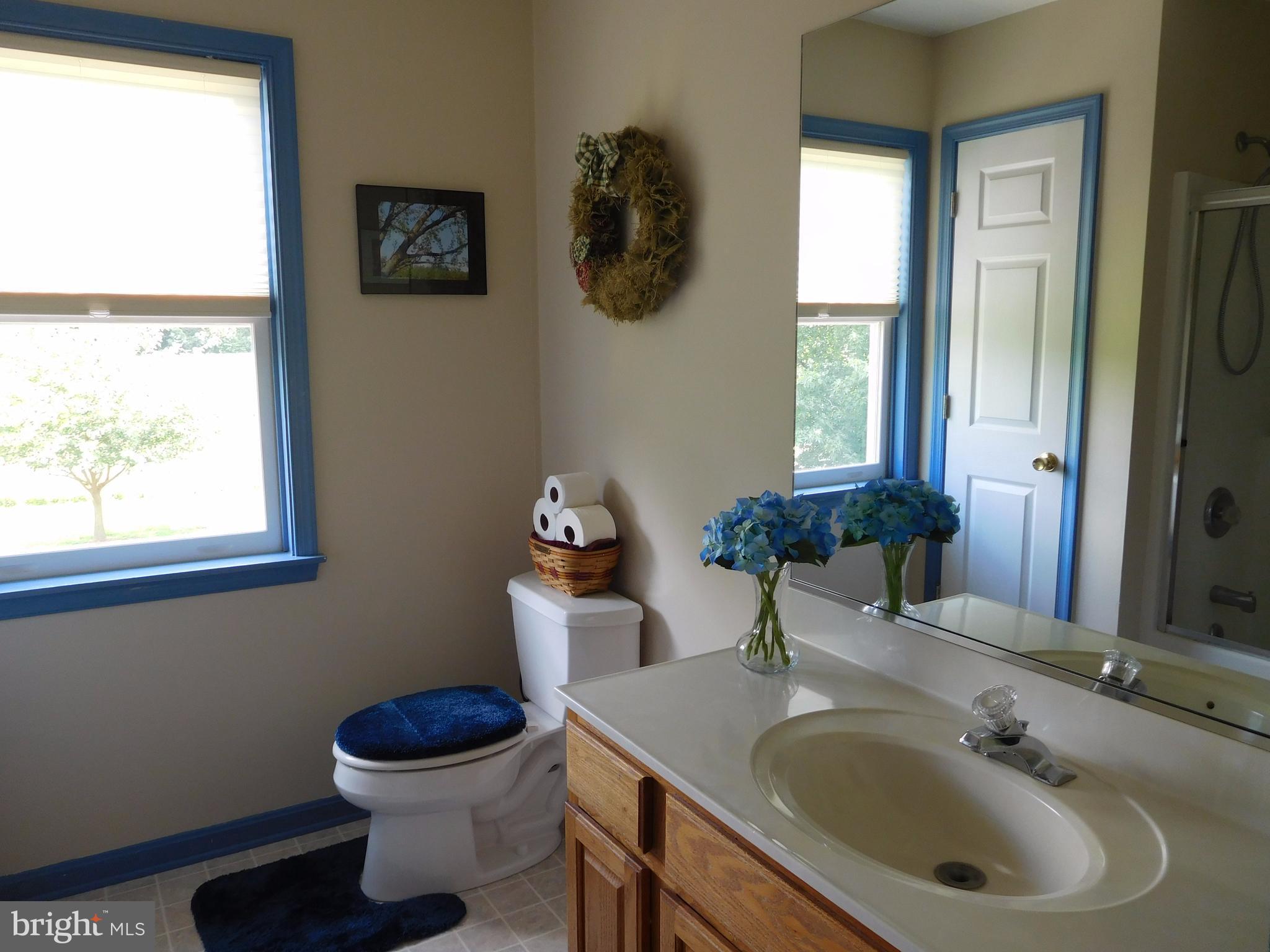 15023 Cherry Lane Ridgely, MD 21660 - Photo 23 of 30 Upstairs hall bath