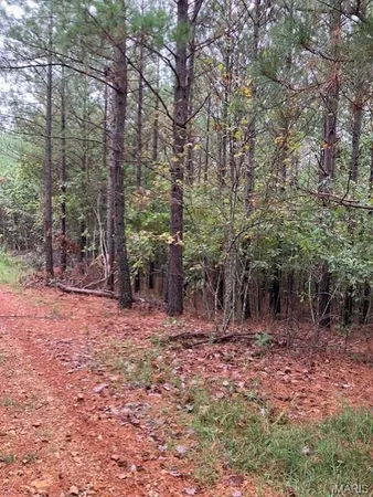 $180,000 | 28 Madison Cr, Fredericktown, MO 63645