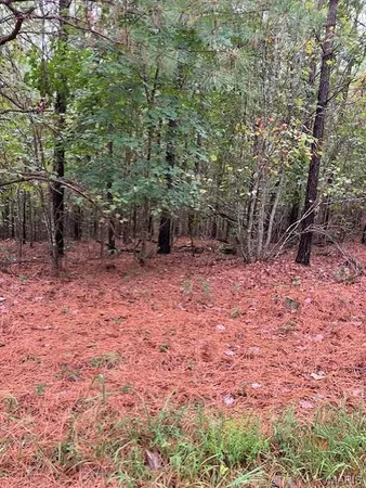 $180,000 | 28 Madison Cr, Fredericktown, MO 63645