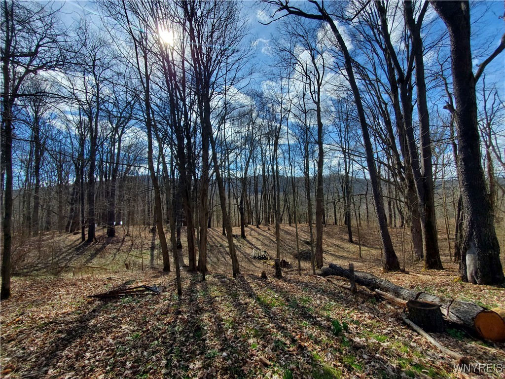 7200 Kent Road Little Valley, NY 14755 - Photo 9 of 43