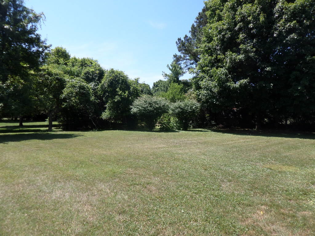111 Albright Road Oak Ridge, TN 37830 - Photo 24 of 29 One of the nicest yards in town!