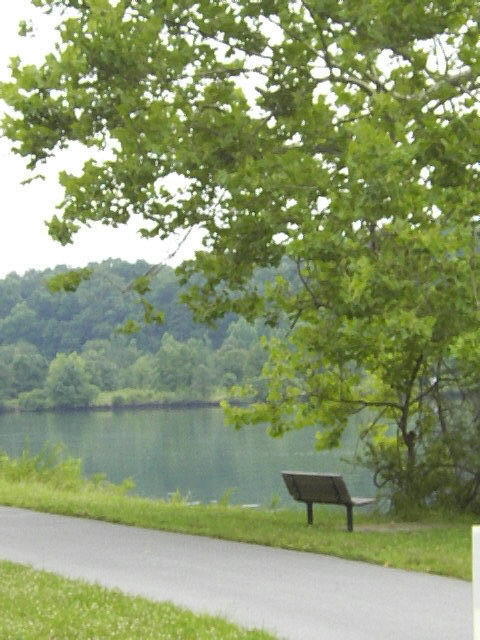 111 Albright Road Oak Ridge, TN 37830 - Photo 27 of 29 Melton Lake