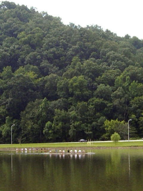 111 Albright Road Oak Ridge, TN 37830 - Photo 29 of 29 Rowing at Melton Lake