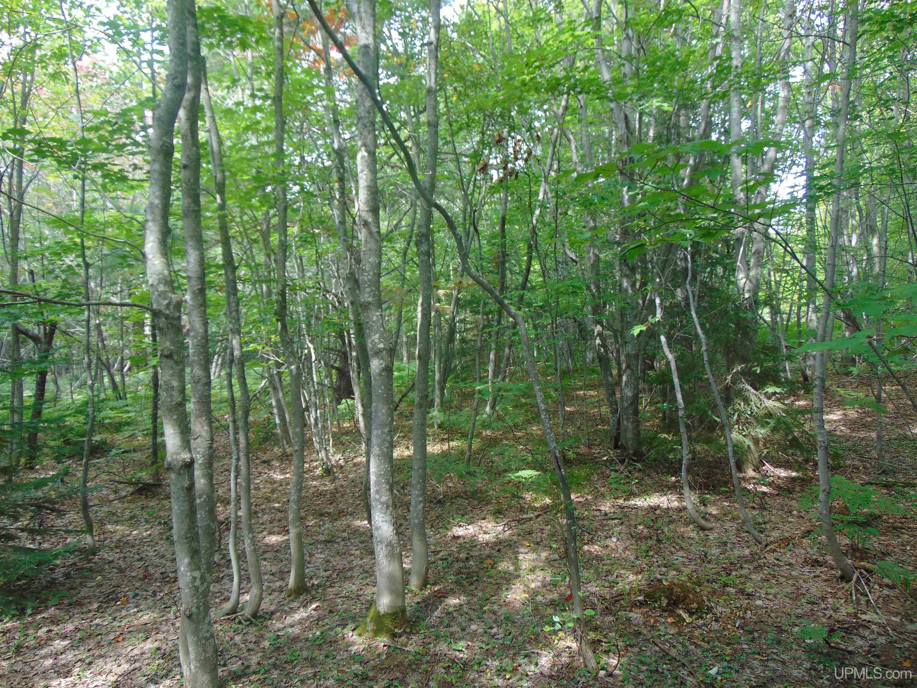 15 Coles Creek Road Atlantic Mine, MI 49905 - Photo 5 of 31