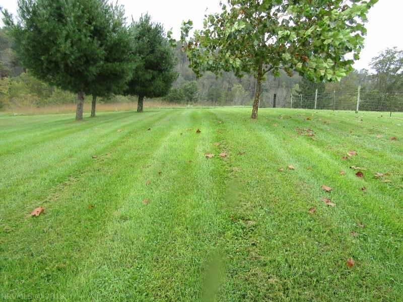 210 Post Road Staffordsville, VA 24167 - Photo 36 of 41 Gallery Image 36