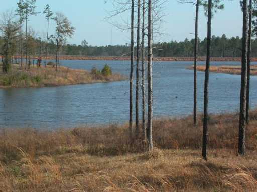 Lot #16 Lot Mitchell Road, Unit 16 Leakesville, MS 39451 - Photo 1 of 6 Primary Photo