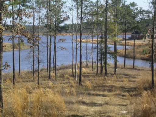 Lot #16 Lot Mitchell Road, Unit 16 Leakesville, MS 39451 - Photo 2 of 6 Additional Photo