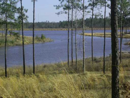 Lot #16 Lot Mitchell Road, Unit 16 Leakesville, MS 39451 - Photo 3 of 6 Additional Photo